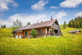 Schnaitstadl-Alm Selbstversorgerhütte